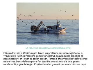 Els caladors de la Unió Europea tenen un problema de sobreexplotació. A
través de la Política Pesquera Comunitària (PPC), regula quines espècies es
poden pescar i on i quan es poden pescar. També s’encarrega d’establir acords
amb altres àrees del món per a fer possible que els vaixells dels països
membres hi puguin feinejar. L’aqüicultura ha guanyat pes en els darrers anys.
 