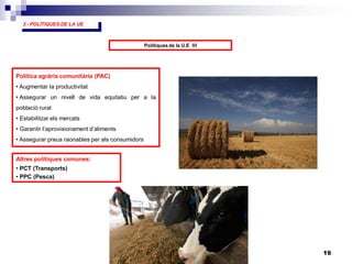 19
3.- POLÍTIQUES DE LA UE
Polítiques de la U.E VI
Política agrària comunitària (PAC)
• Augmentar la productivitat
• Assegurar un nivell de vida equitatiu per a la
població rural
• Estabilitzar els mercats
• Garantir l’aprovisionament d’aliments
• Assegurar preus raonables per als consumidors
Altres polítiques comunes:
• PCT (Transports)
• PPC (Pesca)
 