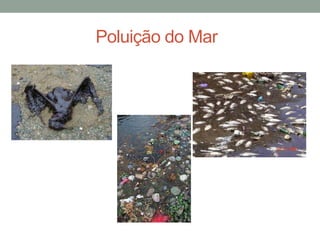                  Poluição do Mar