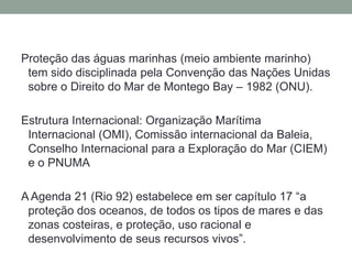 Proteção das águas marinhas (meio ambiente marinho) tem sido disciplinada pela Convenção das Nações Unidas sobre o Direito do Mar de Montego Bay – 1982 (ONU).Estrutura Internacional: Organização Marítima Internacional (OMI), Comissão internacional da Baleia, Conselho Internacional para a Exploração do Mar (CIEM) e o PNUMAA Agenda 21 (Rio 92) estabelece em ser capítulo 17 “a proteção dos oceanos, de todos os tipos de mares e das zonas costeiras, e proteção, uso racional e desenvolvimento de seus recursos vivos”.