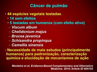Câncer de pulmão
• 44 espécies vegetais testadas
• 14 sem efeitos
• 5 testadas em humanos (com efeito ativo)
– Viscum album
– Chelidonium majus
– Brucea javanica
– Schisandra propinqua
– Camellia sinensis
• Necessidade de mais estudos (principalmente
humanos) para padronização, caracterização
química e elucidação de mecanismos de ação
Monteiro et al. Evidence-Based Complementary and Alternative
Medicine. 2014; Article ID 604152
 