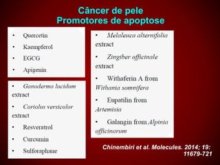 Câncer de pele
Promotores de apoptose
Chinembiri et al. Molecules. 2014; 19:
11679-721
 