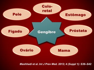 Colo-
retal
Estômago
Ovário
Fígado
Pele
Mama
PróstataGengibre
Mashhadi et al. Int J Prev Med. 2013; 4 (Suppl 1): S36–S42
 