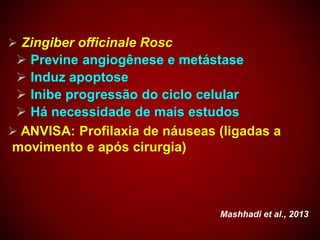  Zingiber officinale Rosc
 Previne angiogênese e metástase
 Induz apoptose
 Inibe progressão do ciclo celular
 Há necessidade de mais estudos
 ANVISA: Profilaxia de náuseas (ligadas a
movimento e após cirurgia)
Mashhadi et al., 2013
 