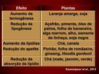 Efeito Plantas
Aumento da
termogênese
Laranja amarga, soja
Redução da
lipogênese
Açafrão, pimenta, óleo de
palma, folha de bananeira,
alga marrom, alho, semente
de linhaça, soja negra
Aumento da lipólise Chá, canela
Redução do apetite Pinhão, folha de romãzeira,
ginseng, Hoodia gordonii
Redução da
absorção de lipídio
Chá (mate, jasmim, verde)
Kazemipoor et al., 2012
 