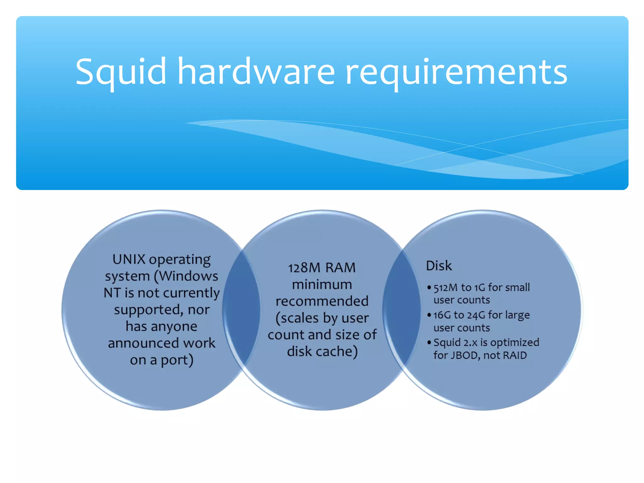 Squid hardware requirements
 