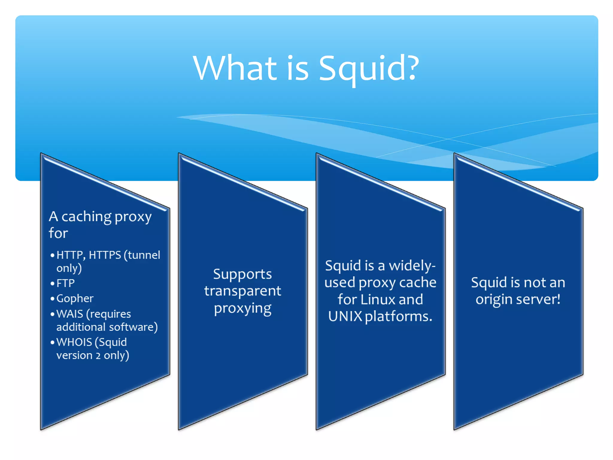 What is Squid?
 