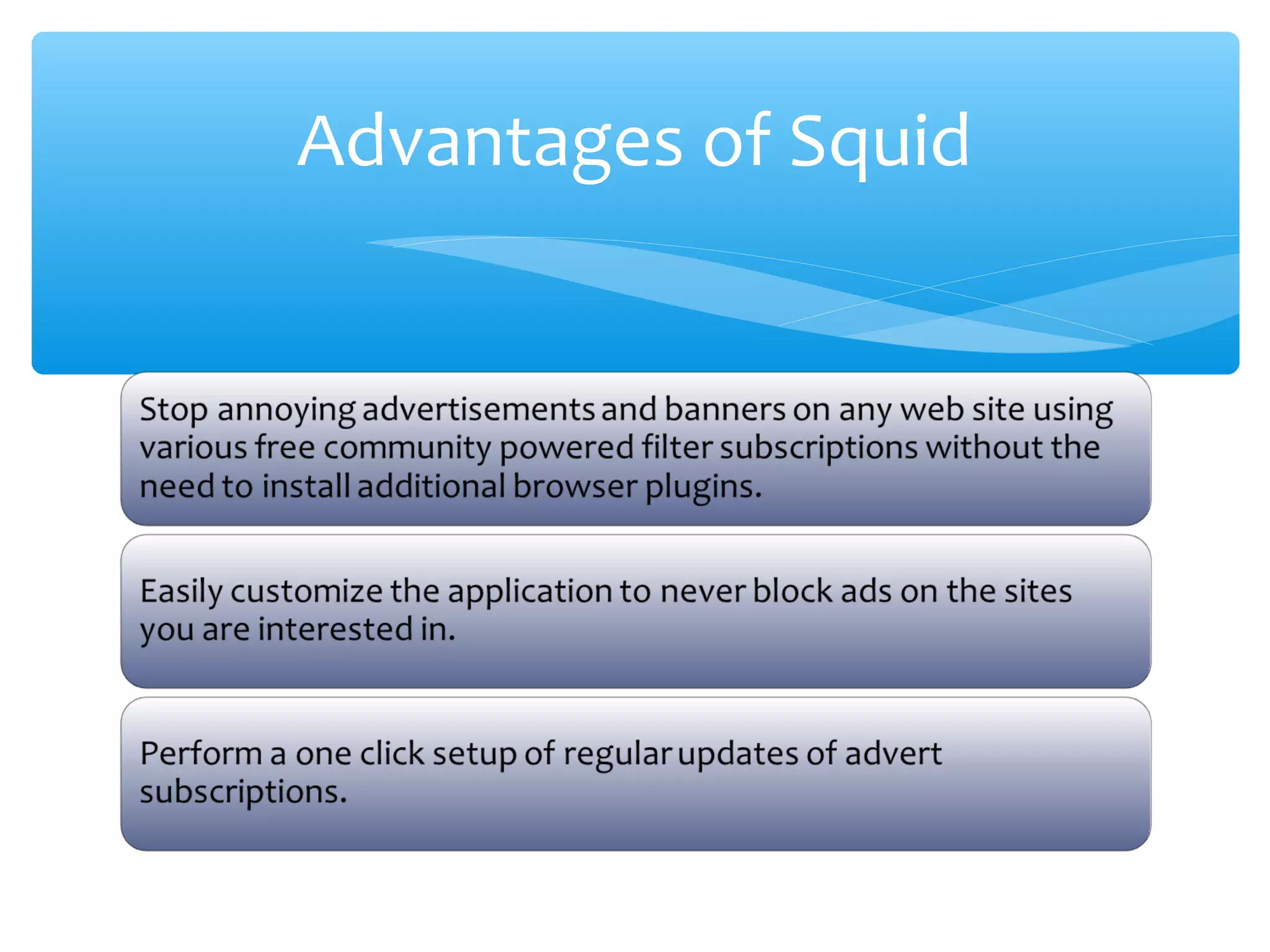 Advantages of Squid
 