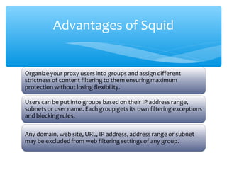 Advantages of Squid
 