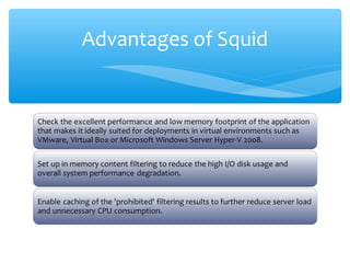 Advantages of Squid
 