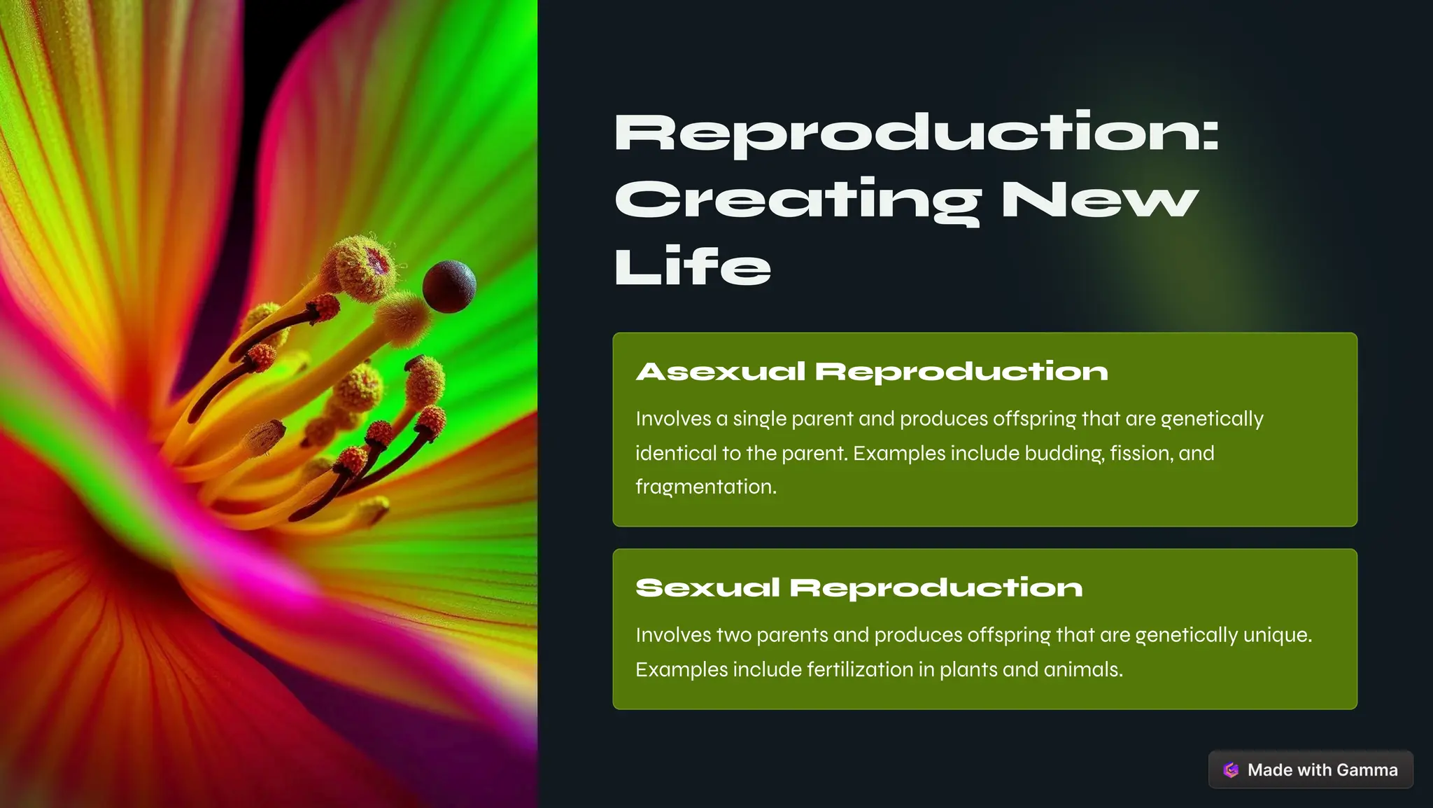 Reproduction:
Creating New
Life
Asexual Reproduction
Involves a single parent and produces offspring that are genetically
identical to the parent. Examples include budding, fission, and
fragmentation.
Sexual Reproduction
Involves two parents and produces offspring that are genetically unique.
Examples include fertilization in plants and animals.
 
