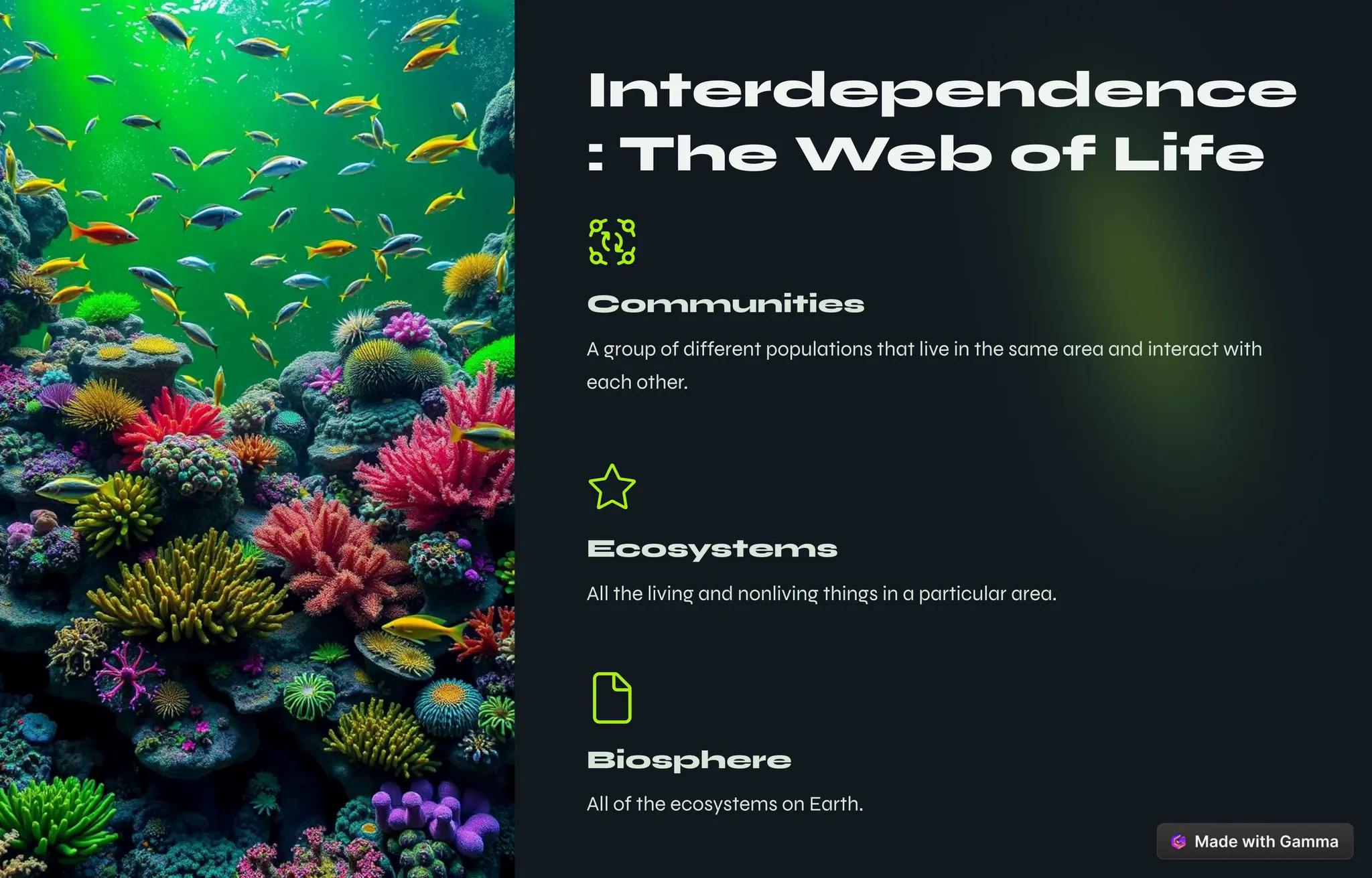 Interdependence
: The Web of Life
Communities
A group of different populations that live in the same area and interact with
each other.
Ecosystems
All the living and nonliving things in a particular area.
Biosphere
All of the ecosystems on Earth.
 