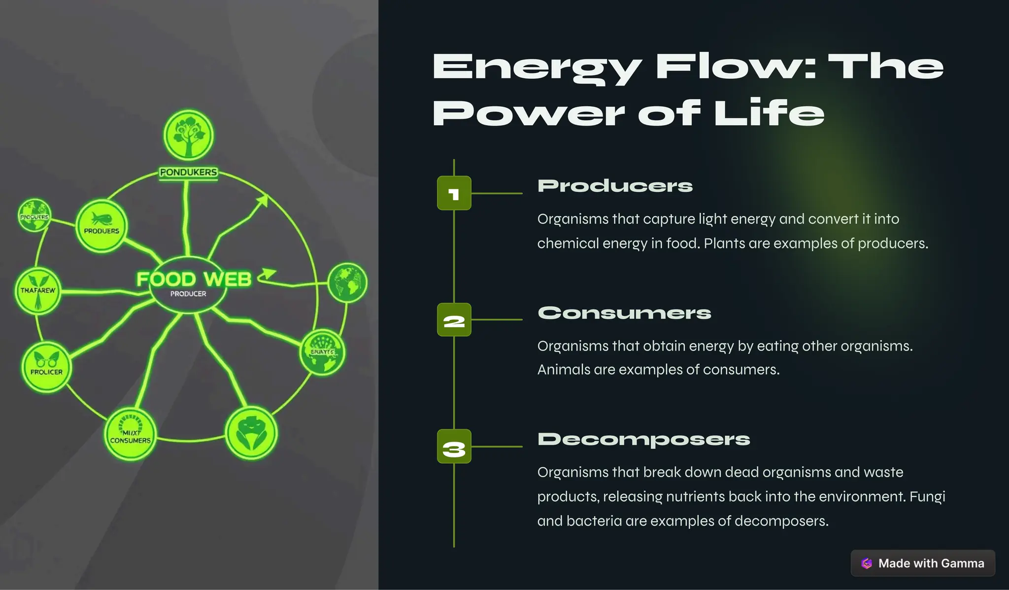 Energy Flow: The
Power of Life
1 Producers
Organisms that capture light energy and convert it into
chemical energy in food. Plants are examples of producers.
2 Consumers
Organisms that obtain energy by eating other organisms.
Animals are examples of consumers.
3 Decomposers
Organisms that break down dead organisms and waste
products, releasing nutrients back into the environment. Fungi
and bacteria are examples of decomposers.
 