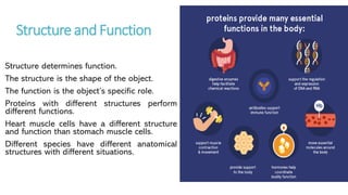 Unifying Themes in the Study of Life | PDF