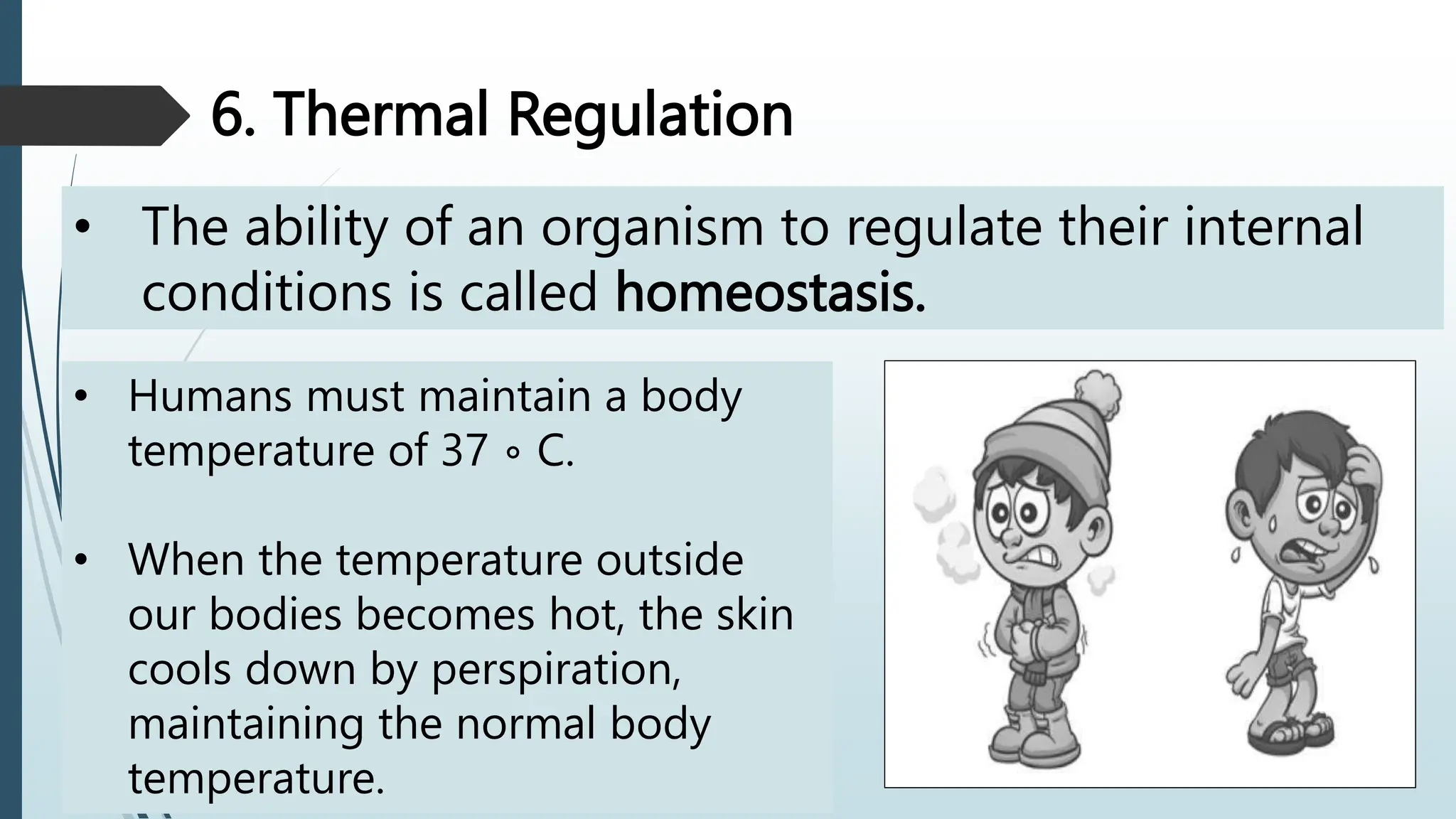 EARTH AND LIFE SCIENCE - UNIFYING THEMES OF LIFE.pptx