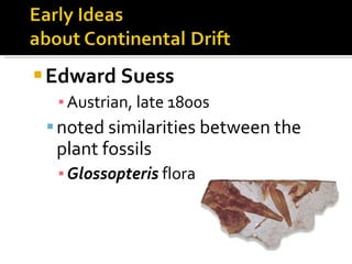 Edward Suess   Austrian, late 1800s noted similarities between the plant fossils  Glossopteris  flora 