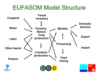 EUFASOM Model Structure Processing Markets Feed mixing Labor Pasture Other Inputs Cropland Water Livestock production Forestry,  Nature, Crop production Export Domestic demand Import Forest Inventory 