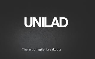 The art of agile: breakouts
 