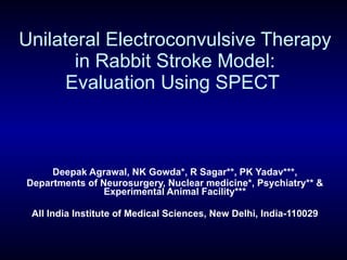 Unilateral Electroconvulsive Therapy in Rabbit Stroke Model: Evaluation Using SPECT  Deepak Agrawal, NK Gowda*, R Sagar**, PK Yadav***, Departments of Neurosurgery, Nuclear medicine*, Psychiatry** & Experimental Animal Facility*** All India Institute of Medical Sciences, New Delhi, India-110029 