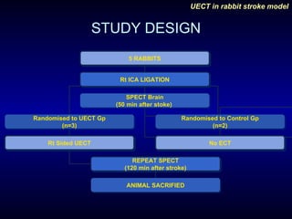 STUDY DESIGN 5 RABBITS Rt ICA LIGATION SPECT Brain (50 min after stoke)  Randomised to UECT Gp (n=3) Randomised to Control Gp (n=2) Rt Sided UECT No ECT REPEAT SPECT (120 min after stroke) ANIMAL SACRIFIED 
