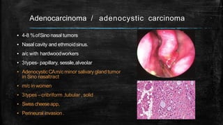 Adenocarcinoma / adenocystic carcinoma
▪ 4-8 %ofSino nasal tumors
▪ Nasal cavity and ethmoidsinus.
▪ a/c with hardwoodworkers
▪ 3types- papillary, sessile,alveolar
▪ AdenocysticCAm/c minor salivary gland tumor
in Sino nasaltract
▪ m/c inwomen
▪ 3types –cribriform ,tubular , solid
▪ Swiss cheeseapp,
▪ Perineural invasion.
 
