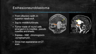 Esthesioneuroblastoma
▪ From olfactory epith.in
superior nasalvault.
▪ Sup to middleturbinate.
▪ Tumor made of round cells
arranged in to rosettes , pseudo
rosettes andsheets.
▪ Express –NSE, chromogranin
,synaptophysin.
▪ Snowman appearance onCT
scan.
 