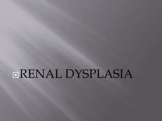 RENAL DYSPLASIA
 