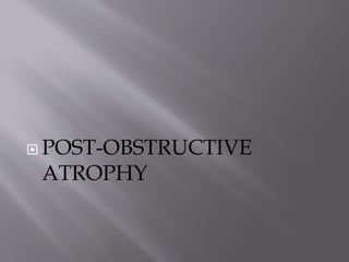  POST-OBSTRUCTIVE
ATROPHY
 