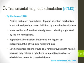 3. Transcranial magnetic stimulation (rTMS)
• By Kinsburne 1970
• Posited that, each hemisphere spatial attention mechanism
in each dorsal parietal cortex inhibited by the other hemisphere
• In normal brain  tendency to rightward orienting supported
by the left hemisphere.
• Right hemisphere lesions determine left neglect by
exaggerating this physiologic rightward bias.
• Left hemisphere lesions would only rarely provoke right neglect
because they release a right hemisphere attentional vector,
which is less powerful than the left one
Paolo Bartolomeo, MD 1999

27

 