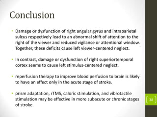 Conclusion
• Damage or dysfunction of right angular gyrus and intraparietal
sulcus respectively lead to an abnormal shift of attention to the
right of the viewer and reduced vigilance or attentional window.
Together, these deficits cause left viewer-centered neglect.
• In contrast, damage or dysfunction of right superiortemporal
cortex seems to cause left stimulus-centered neglect.
• reperfusion therapy to improve blood perfusion to brain is likely
to have an effect only in the acute stage of stroke.

• prism adaptation, rTMS, caloric stimulation, and vibrotactile
stimulation may be effective in more subacute or chronic stages
of stroke.

38

 