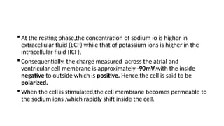  At the resting phase,the concentration of sodium io is higher in
extracellular fluid (ECF) while that of potassium ions is higher in the
intracellular fluid (ICF).
 Consequentially, the charge measured across the atrial and
ventricular cell membrane is approximately -90mV,with the inside
negative to outside which is positive. Hence,the cell is said to be
polarized.
 When the cell is stimulated,the cell membrane becomes permeable to
the sodium ions ,which rapidly shift inside the cell.
 