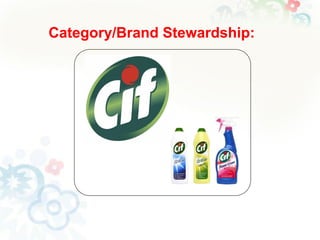 Category/Brand Stewardship:

 