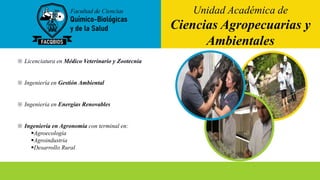 ※ Licenciatura en Médico Veterinario y Zootecnia
※ Ingeniería en Gestión Ambiental
※ Ingeniería en Energías Renovables
※ I...