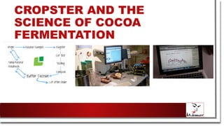 CROPSTER AND THE
SCIENCE OF COCOA
FERMENTATION
 