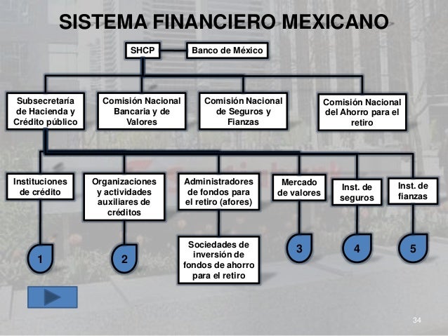 Unimex estructura financiera del estado mexicano