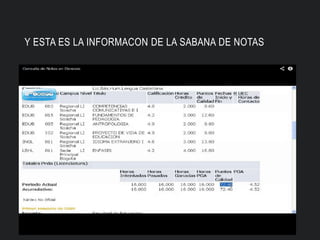 Y ESTA ES LA INFORMACON DE LA SABANA DE NOTAS
 