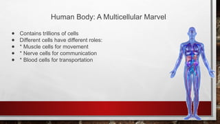 BIOLOGY 7 GRADE 7 SCIENCE UNI MUTLI.pptx