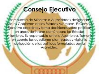 Consejo Ejecutivo 
Compuesta de Ministras o Autoridades designadas 
por los Gobiernos de los Estados Miembros. El Consejo 
Ejecutivo coordina y toma decisiones sobre políticas 
en áreas de interés común para los Estados 
miembros. Es responsable ante la Asamblea. Tomará 
en cuenta las cuestiones planteadas y vigilar la 
aplicación de las políticas formuladas por la 
Asamblea. 
 