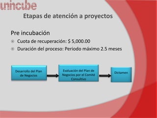 Etapas de atención a proyectos

Pre incubación
 Cuota de recuperación: $ 5,000.00
 Duración del proceso: Periodo máximo 2.5 meses




    Desarrollo del Plan   Evaluación del Plan de
                                                   Dictamen
       de Negocios        Negocios por el Comité
                               Consultivo
 