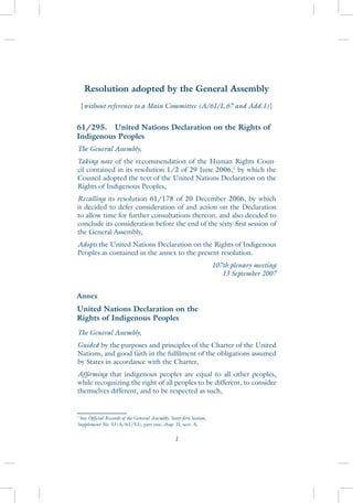 Declaration on the Rights of Indigenous Peoples | PDF