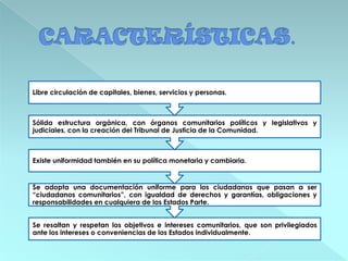 Se resaltan y respetan los objetivos e intereses comunitarios, que son privilegiados
ante los intereses o conveniencias de los Estados individualmente.
Se adopta una documentación uniforme para los ciudadanos que pasan a ser
“ciudadanos comunitarios”, con igualdad de derechos y garantías, obligaciones y
responsabilidades en cualquiera de los Estados Parte.
Existe uniformidad también en su política monetaria y cambiaria.
Sólida estructura orgánica, con órganos comunitarios políticos y legislativos y
judiciales, con la creación del Tribunal de Justicia de la Comunidad.
Libre circulación de capitales, bienes, servicios y personas.
 