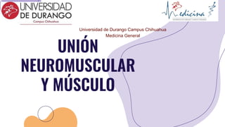 UNIÓN
NEUROMUSCULAR
Y MÚSCULO
Universidad de Durango Campus Chihuahua
Medicina General
 