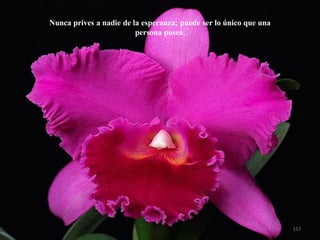 Nunca prives a nadie de la esperanza; puede ser lo único que una persona posea. 
157  