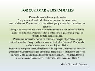 POR QUE AMAR A LOS ANIMALES 
Porque lo dan todo, sin pedir nada. 
Por que ante el poder del hombre que cuenta con armas... 
son indefensos. Porque son eternos niños, porque no saben de odios... ni guerras. 
Porque no conocen el dinero y se conforman solo con un techo donde guarecerse del frío. Porque se dan a entender sin palabras, porque su mirada es pura como su alma. 
Porque no saben de envidia ni rencores, porque el perdón esalgo naturalen ellos. Porque saben amar con lealtad y fidelidad. Porque dan vida sin tenerque ir a una lujosa clínica. 
Porque no compran amor, simplemente lo esperan y porque son nuestros compañeros, eternos amigos que nunca traicionan. Y porque están vivos. Por esto y mil cosas más... merecen nuestro amor...!Si aprendemos a amarlos como lo merecen... estaremos más cerca deDios." 
Madre Teresa de Calcuta. 
51  