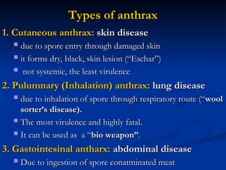 Comprehensive Overview of Pathogenic Bacteria and Their Medical Impact ...