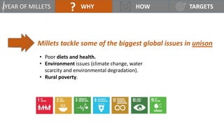 UN International Year of Lets Millet