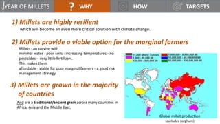 UN International Year of Lets Millet