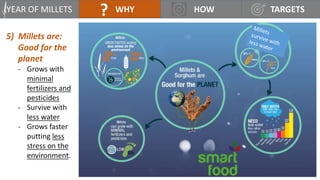 UN International Year of Lets Millet