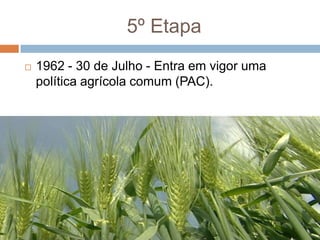 5º Etapa1962 - 30 de Julho - Entra em vigor uma política agrícola comum (PAC).