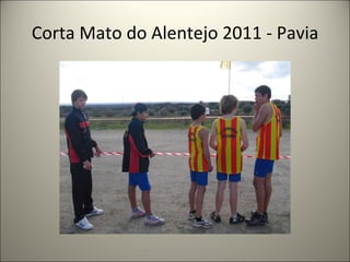 Corta Mato do Alentejo 2011 - Pavia 